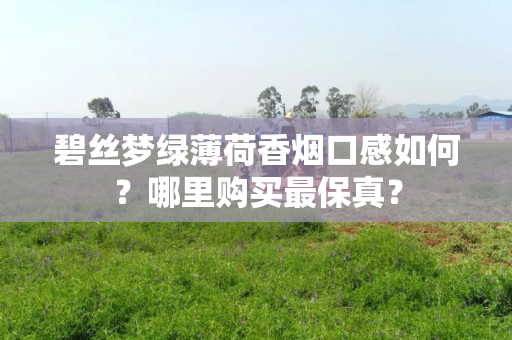 碧丝梦绿薄荷香烟口感如何？哪里购买最保真？